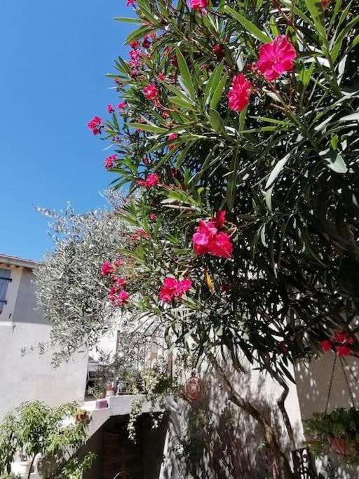 La Chamade Maison De Village Climatisee Lapalud Kültér fotó