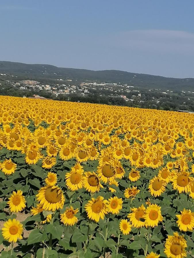 La Chamade Maison De Village Climatisee Lapalud Kültér fotó